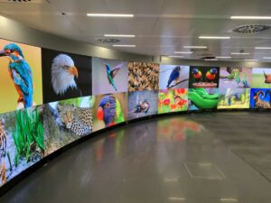 Large Direct view LED display in the Automotive design center